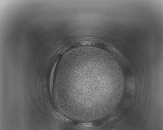 X0000080150554200612151833