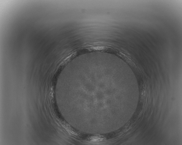 X0000080150555200612151833