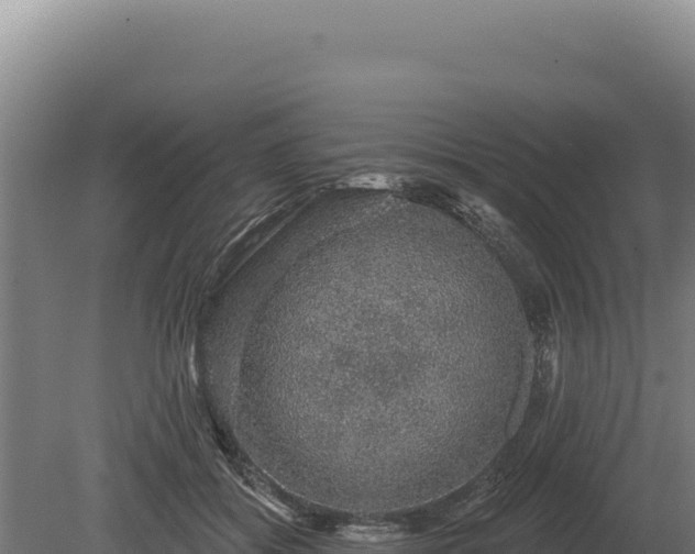 X0000080150556200612151833