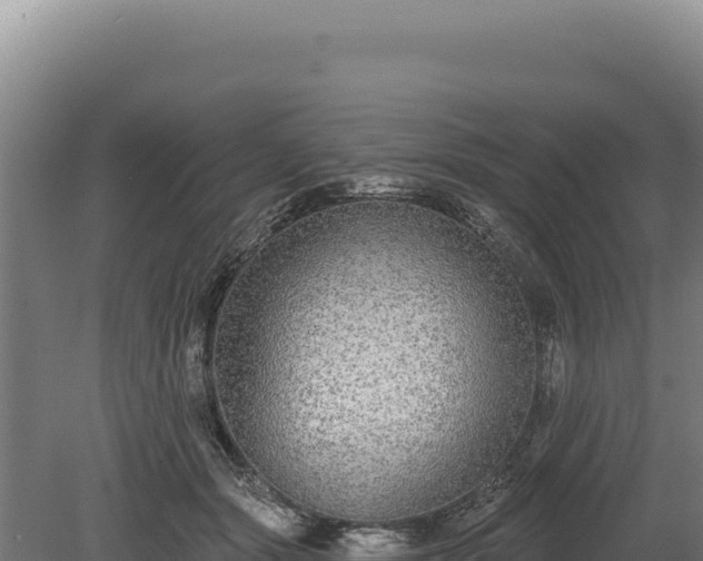 X0000080150557200612151833