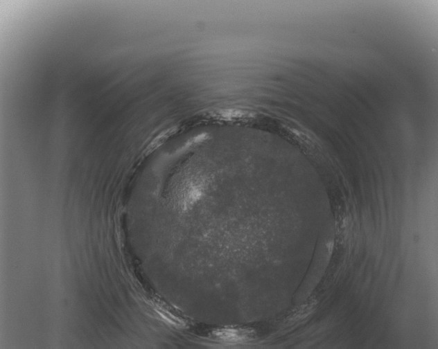 X0000080150558200612151833