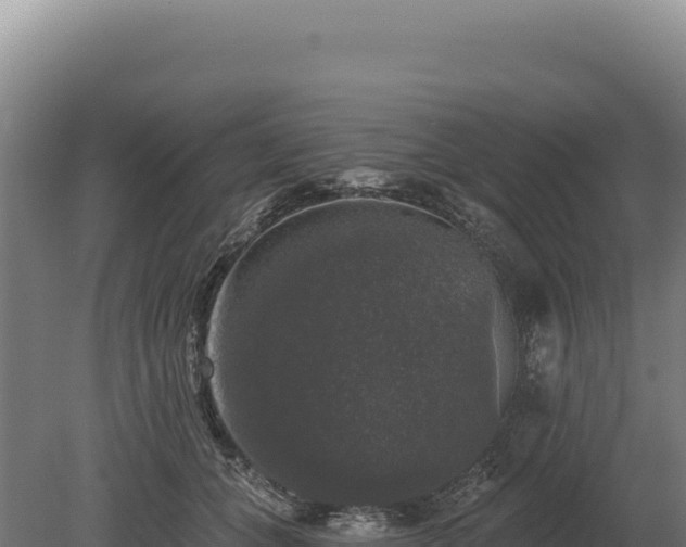 X0000080150559200612151833