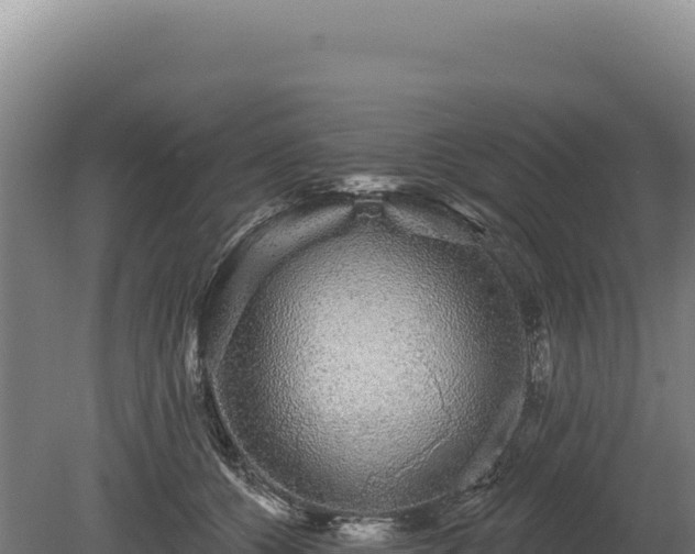 X0000080150560200612151833