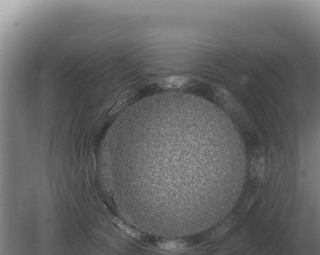 X0000080150561200612151833