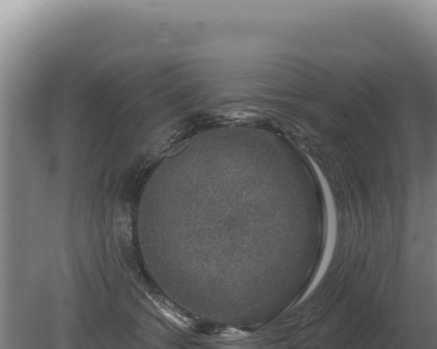 X0000080150562200612151833