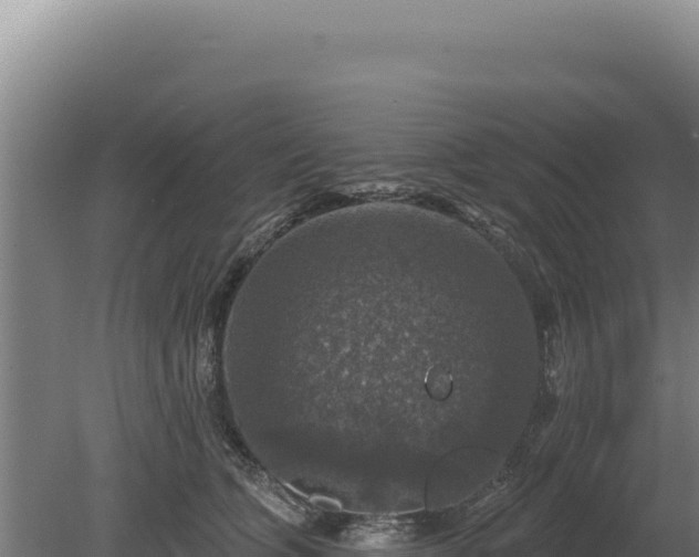 X0000080150563200612151833