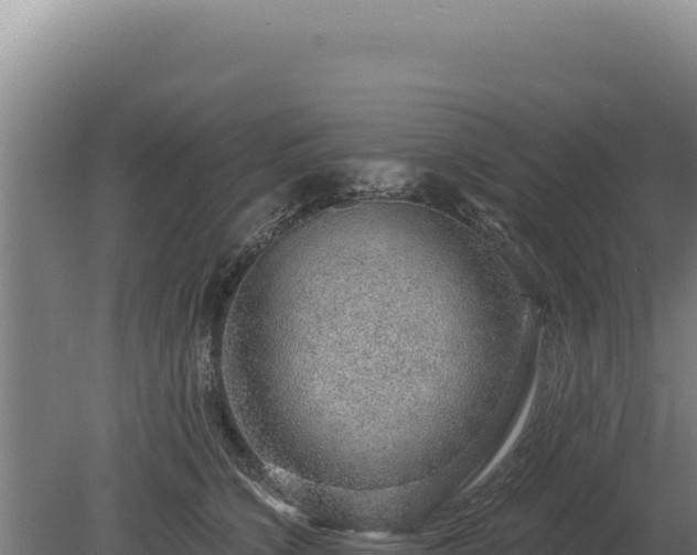 X0000080150564200612151833