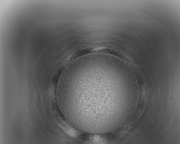 X0000080150565200612151833