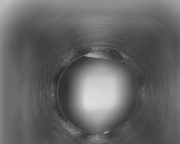 X0000080150567200612151833