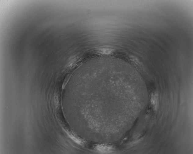 X0000080150568200612151833