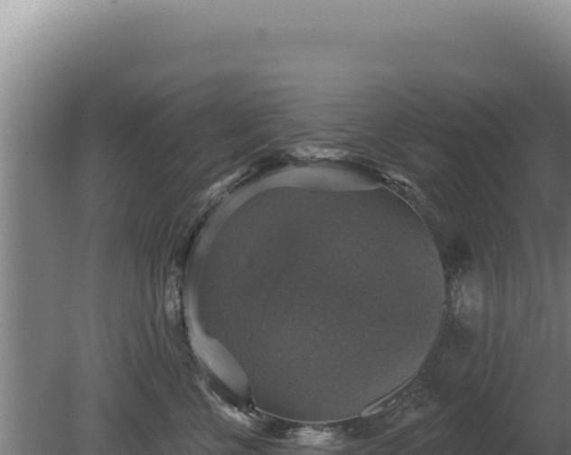 X0000080150570200612151833