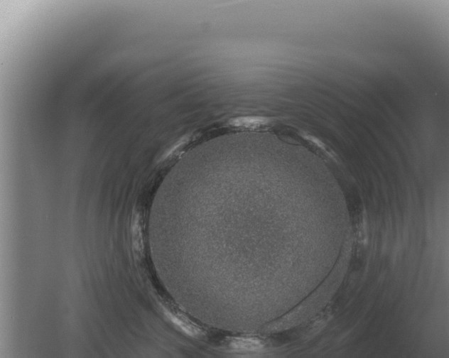 X0000080150572200612151833