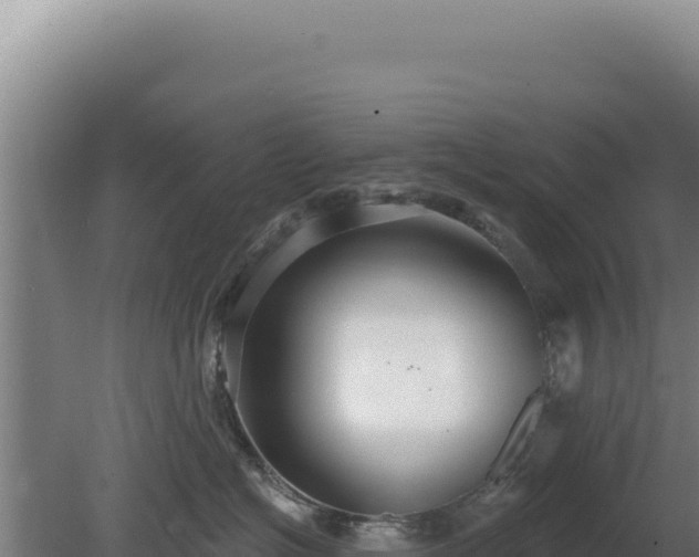 X0000080150574200612151833