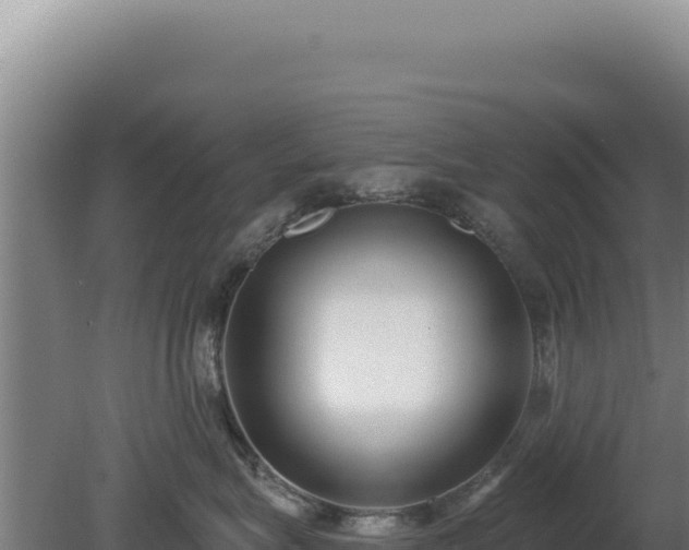 X0000080150575200612151833