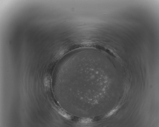 X0000080150576200612151833