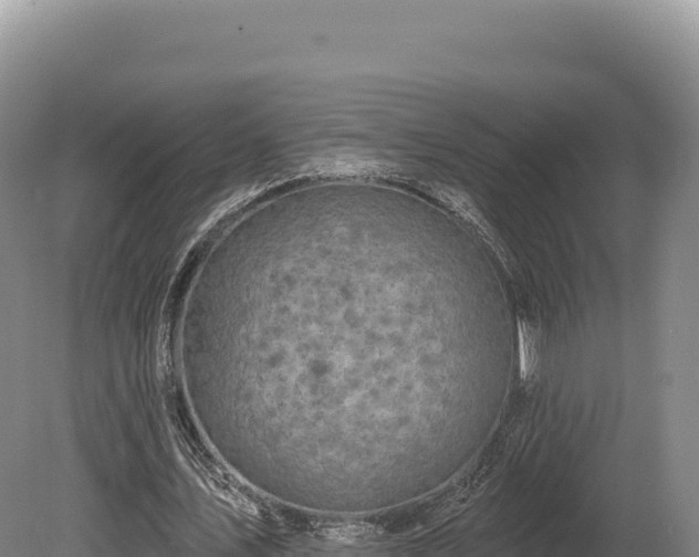 X0000080150579200612151832