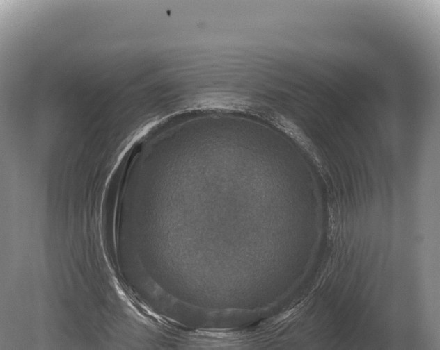 X0000080150580200612151832