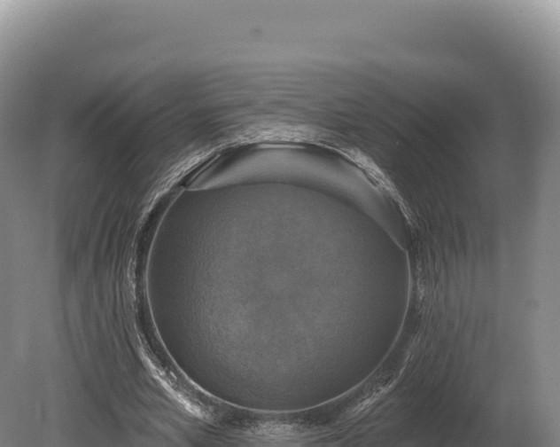 X0000080150581200612151832