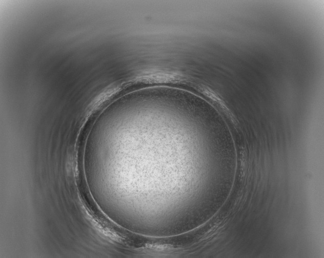 X0000080150582200612151832