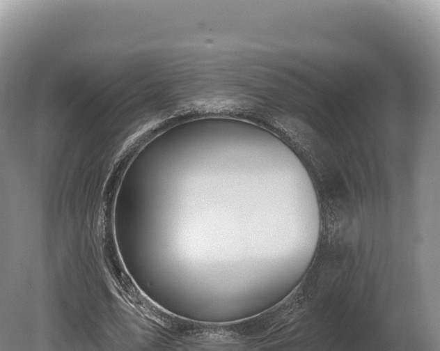 X0000080150583200612151832