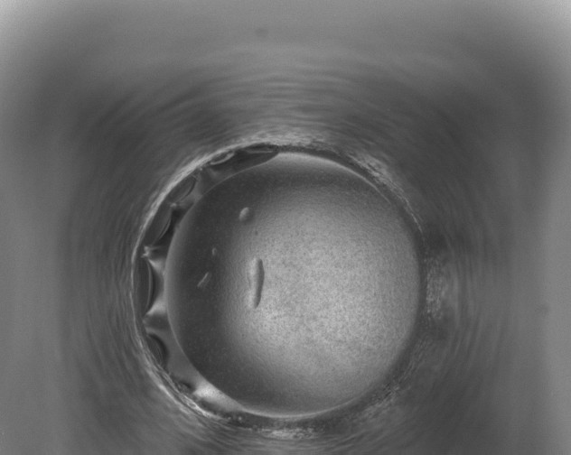 X0000080150584200612151832