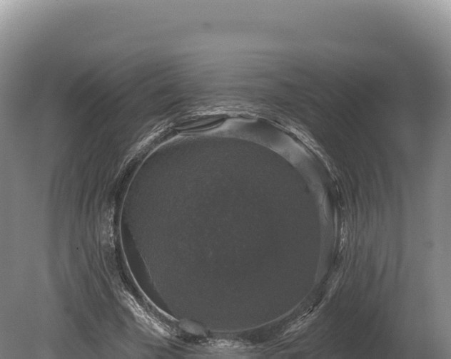 X0000080150585200612151832