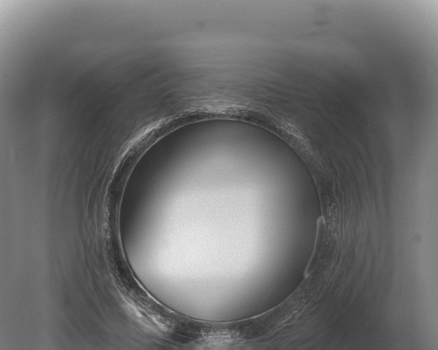 X0000080150587200612151832