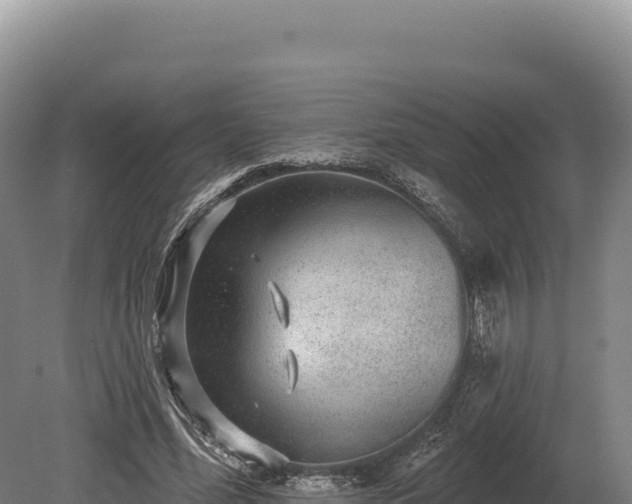 X0000080150588200612151832