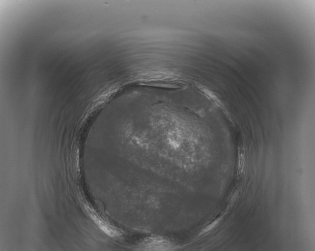 X0000080150589200612151832