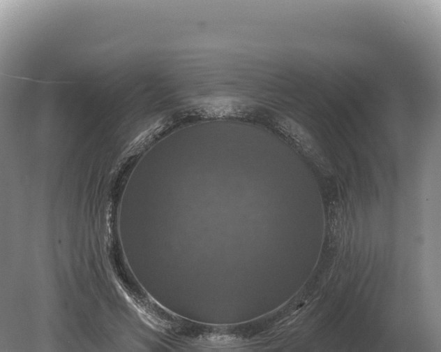 X0000080150590200612151832