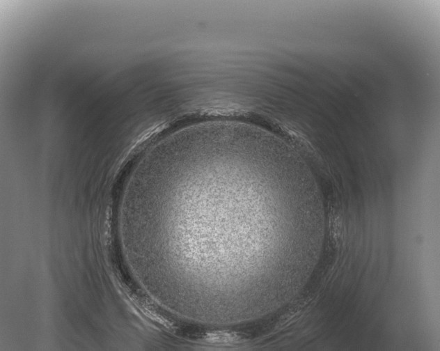 X0000080150591200612151832