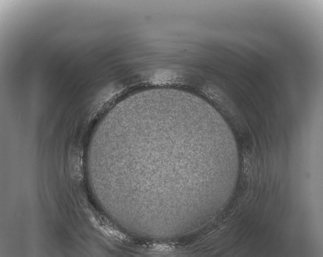 X0000080150592200612151832