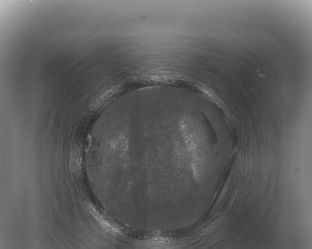 X0000080150593200612151832