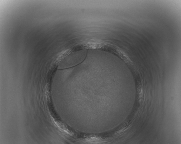 X0000080150594200612151832