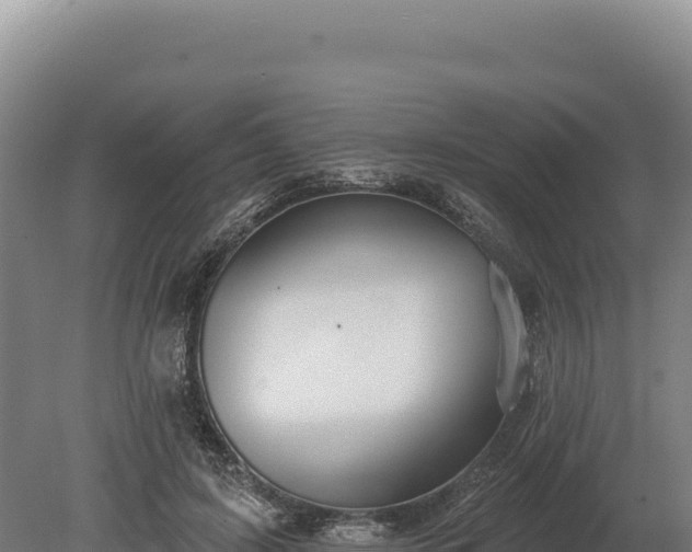 X0000080150595200612151832