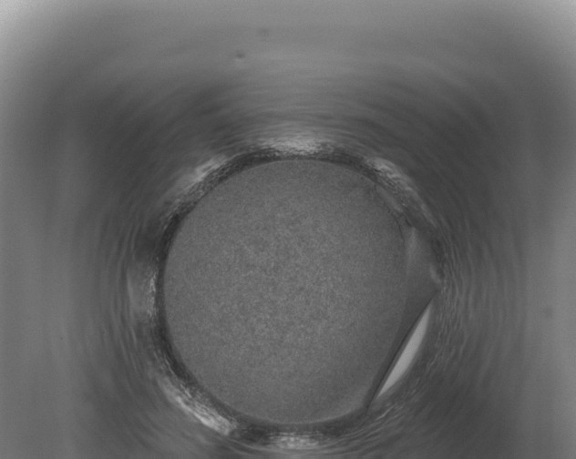 X0000080150596200612151832