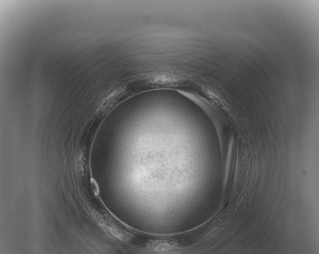 X0000080150597200612151832