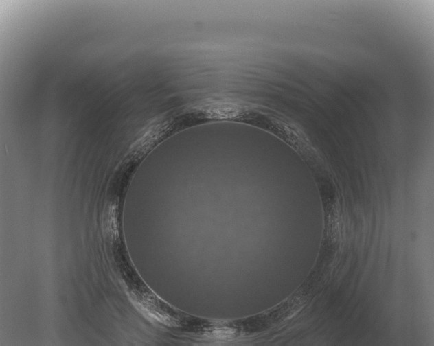 X0000080150598200612151832