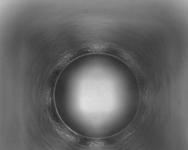 X0000080150599200612151832