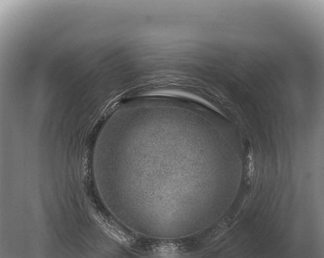 X0000080150600200612151832