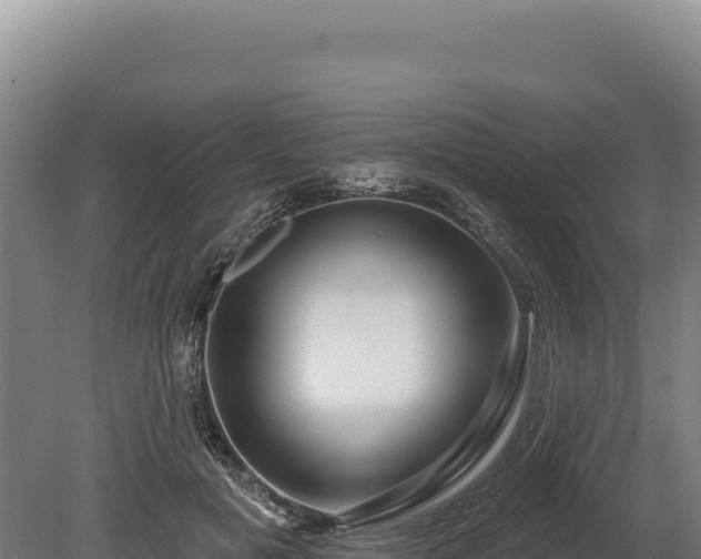 X0000080150601200612151832