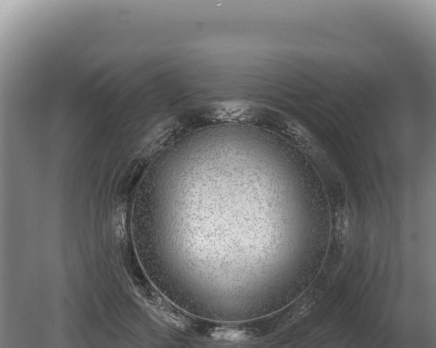 X0000080150602200612151832