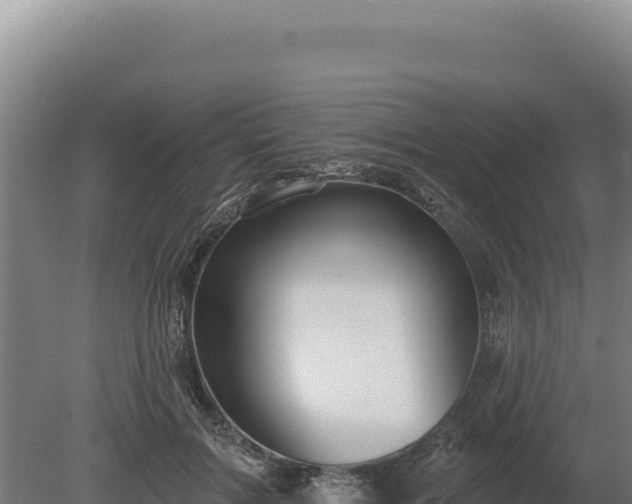 X0000080150603200612151832