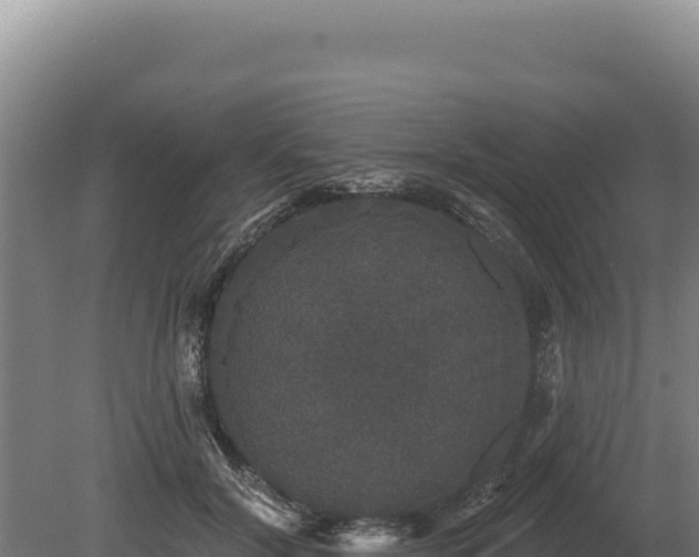 X0000080150604200612151832