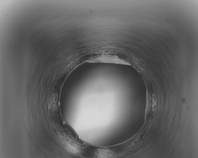 X0000080150605200612151832