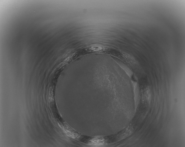 X0000080150606200612151832