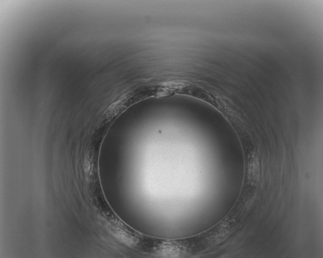 X0000080150608200612151832