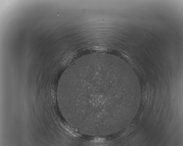 X0000080150609200612151832