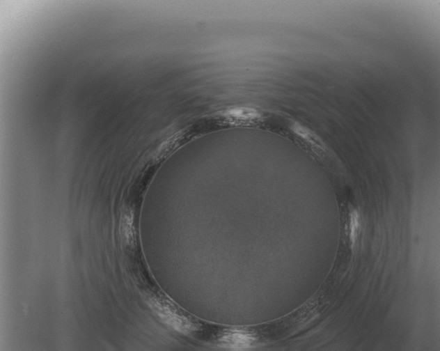 X0000080150610200612151832