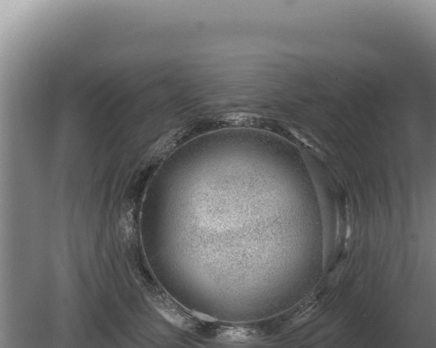 X0000080150611200612151832